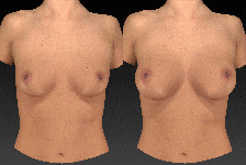 breast sculptor nude animation